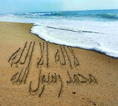                                                                �� ��� ��� ���� ����� ���� ����